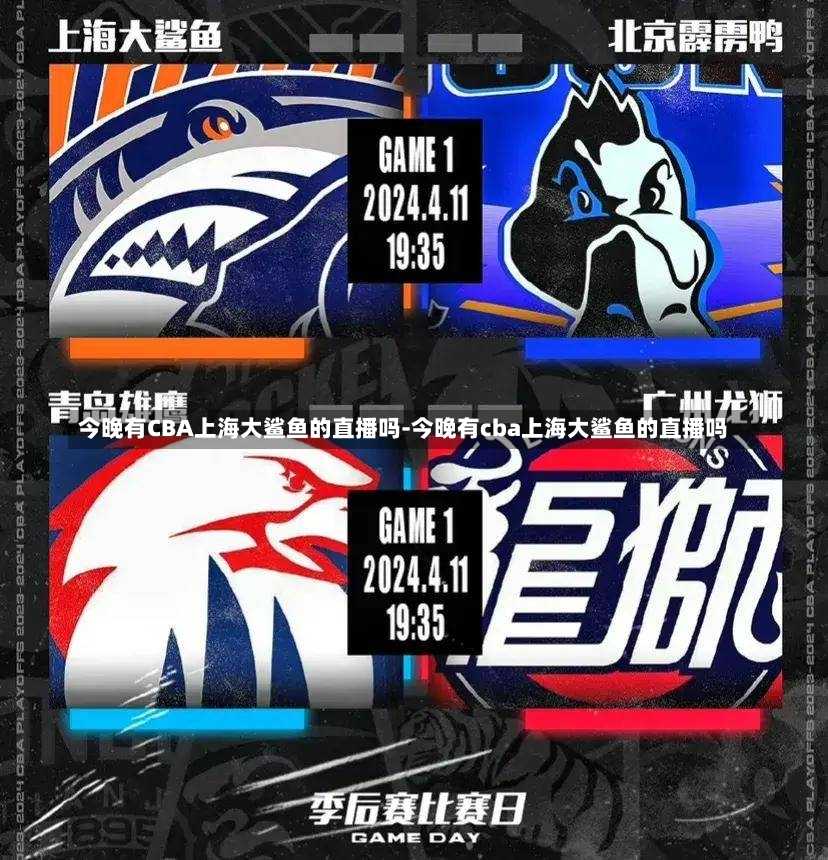 中甲启用V