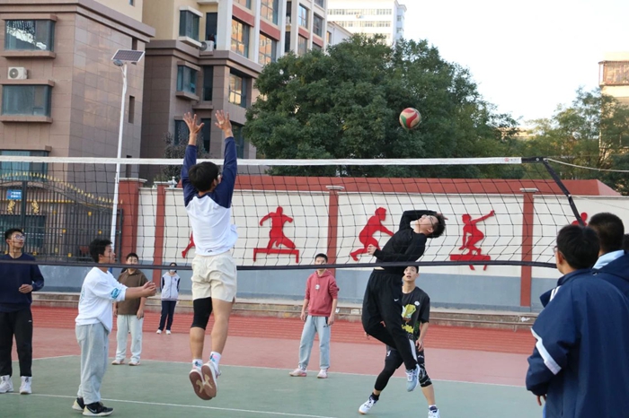 森林